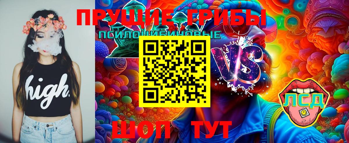 Псилоцибиновые грибы Psilocybine cubensis  Вход с VPN  дарнет шоп  Боровичи  Галлюциногенные грибы Cubensis 